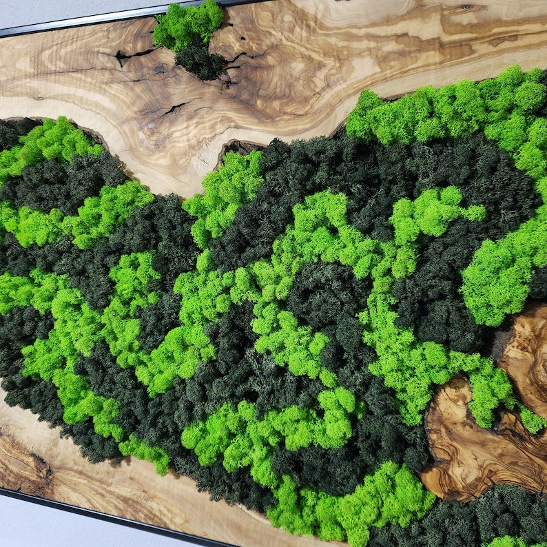 Moss Wall Decor, Custom Made Moss and Olive Wood Wall Art, Metal Frame, Olive Wood and Moss Wall Art- Preserved Stabilized Moss Wall Decor