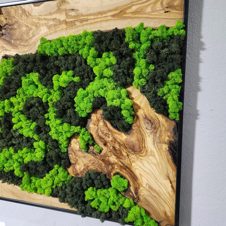 Moss Wall Decor, Custom Made Moss and Olive Wood Wall Art, Metal Frame, Olive Wood and Moss Wall Art- Preserved Stabilized Moss Wall Decor