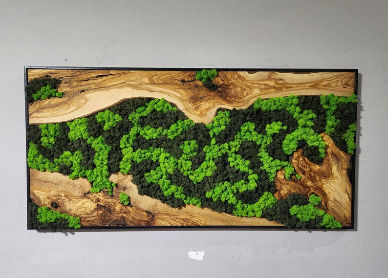 Moss Wall Decor, Custom Made Moss and Olive Wood Wall Art, Metal Frame, Olive Wood and Moss Wall Art- Preserved Stabilized Moss Wall Decor