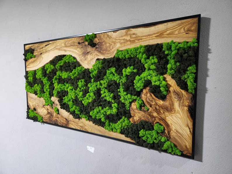 Moss Wall Decor, Custom Made Moss and Olive Wood Wall Art, Metal Frame, Olive Wood and Moss Wall Art- Preserved Stabilized Moss Wall Decor