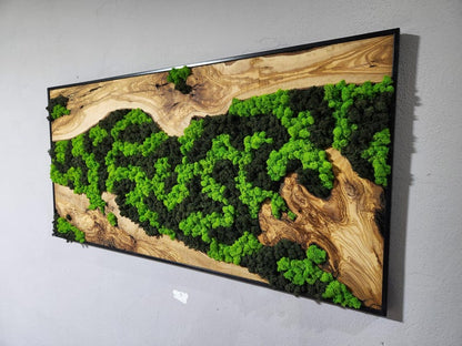 Moss Wall Decor, Custom Made Moss and Olive Wood Wall Art, Metal Frame, Olive Wood and Moss Wall Art- Preserved Stabilized Moss Wall Decor