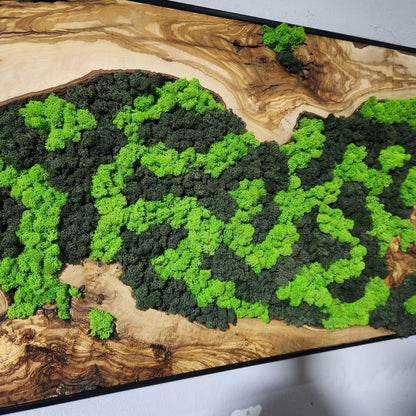 Moss Wall Decor, Custom Made Moss and Olive Wood Wall Art, Metal Frame, Olive Wood and Moss Wall Art- Preserved Stabilized Moss Wall Decor